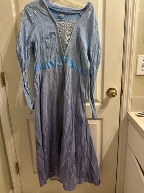 Disney Frozen II Elsa Costume Dress